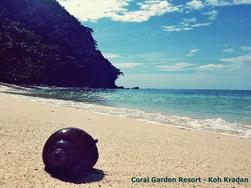 קו קארדן Coral Garden Resort מראה חיצוני תמונה
