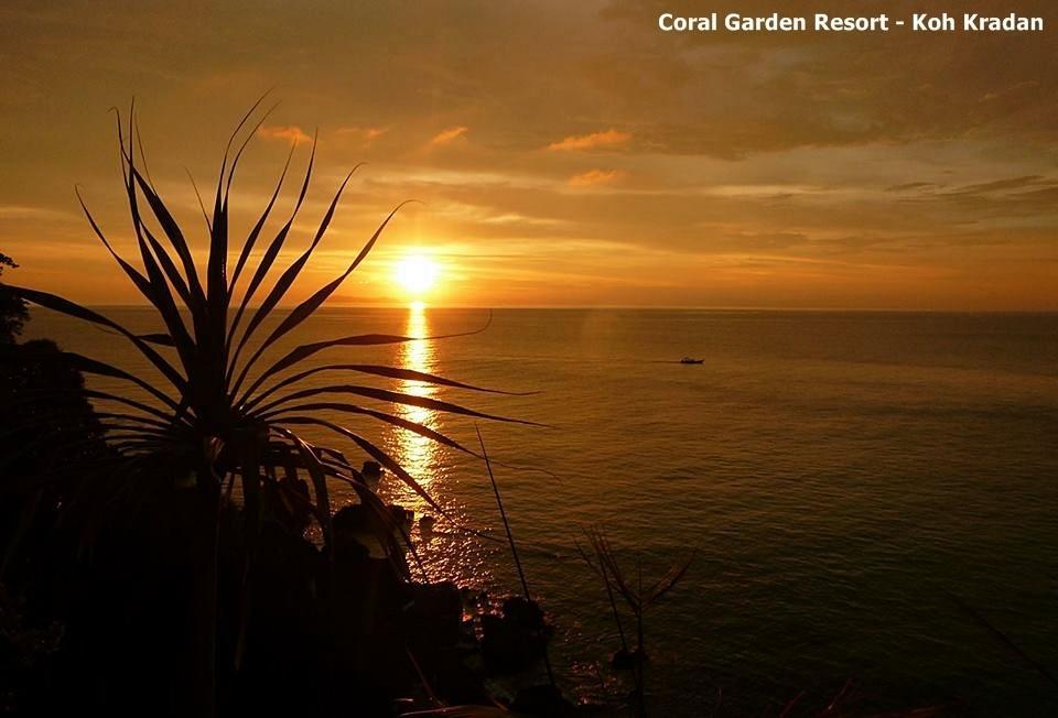 קו קארדן Coral Garden Resort מראה חיצוני תמונה
