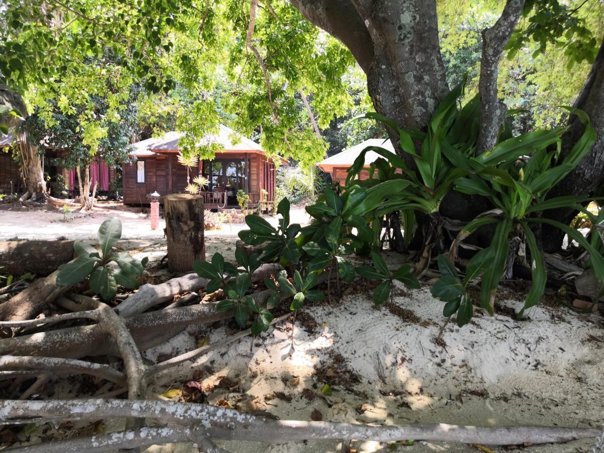 קו קארדן Coral Garden Resort מראה חיצוני תמונה
